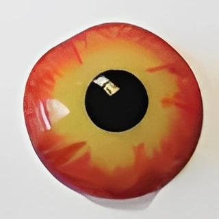 A round object resembling an eye with a black center, yellow ring, and red outer edge on a white background.