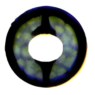 Circular abstract image with a dark outline, a bright center, and a greenish textured pattern.