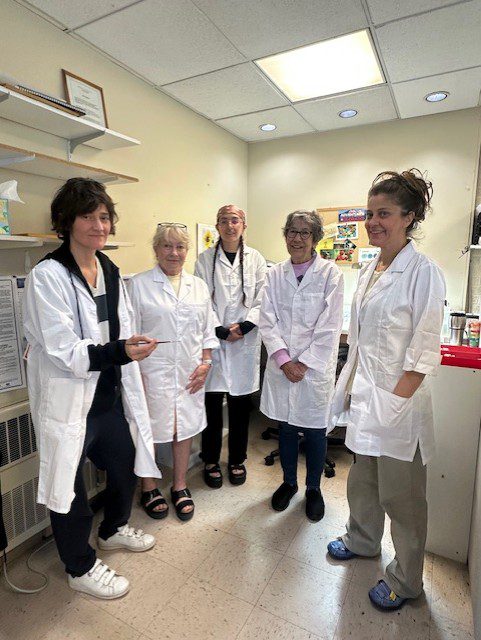 Five people in lab coats in office.